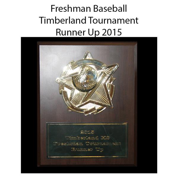 2015 Freshman Baseball Timberland Tournamnet Runner Up 